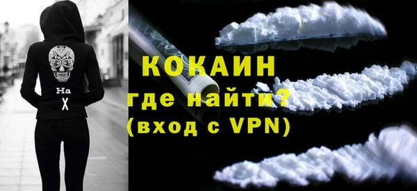 ешки Дубна