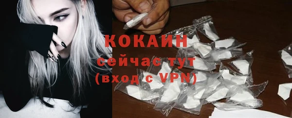 альфа пвп Няндома