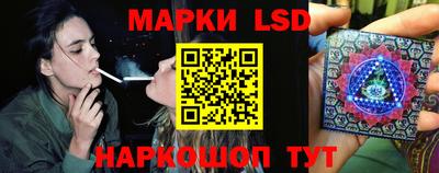 МДПВ Гатчина