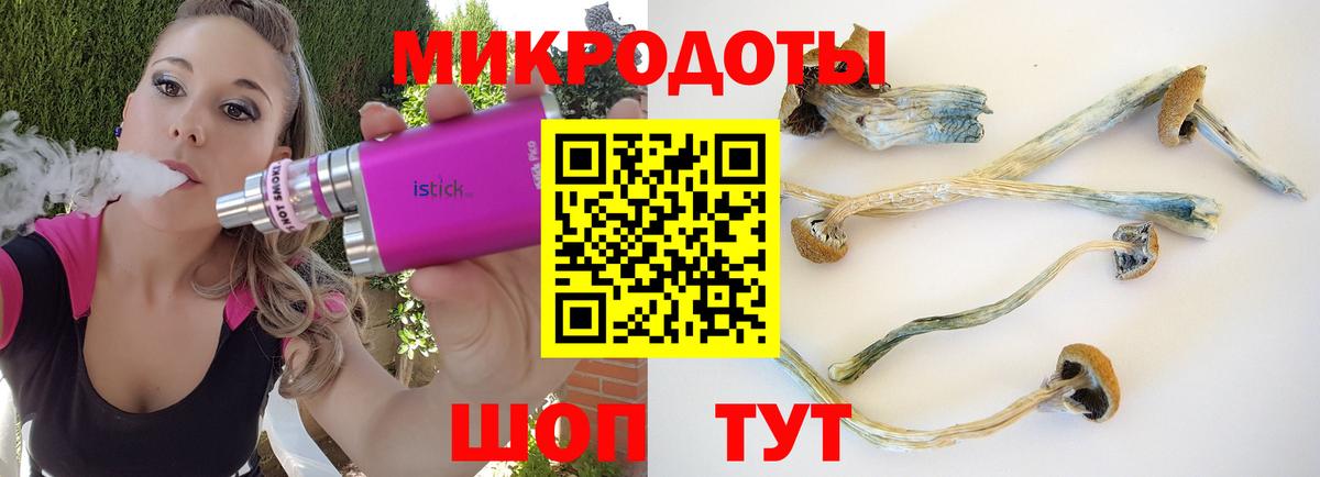 Галлюциногенные грибы прущие грибы Печора